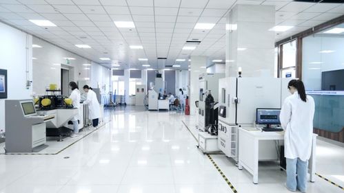 新技術激活新潛力 東北石油大學賦能國家能源安全與網絡信息安全軟件開發